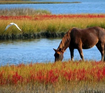 Vier mooie vakantiebestemmingen in de buurt van Eindhoven