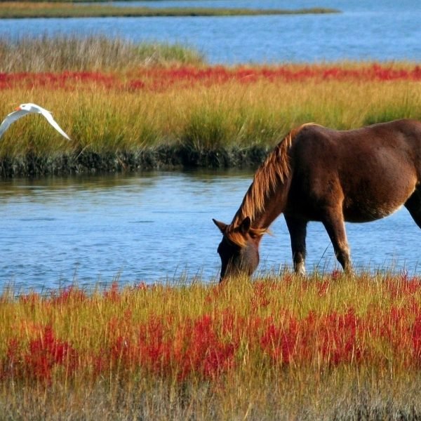 Vier mooie vakantiebestemmingen in de buurt van Eindhoven